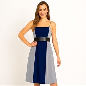 MAXANDCLEO Gorgeous 100% Silk Formal Strapless Dress Size 8P